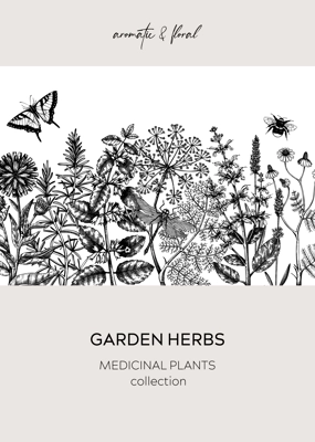 Vintage herbs card or invitation. Aromatic plants frame in sketched style. Botanical design for cosmetics, herbal medicine, herbal tea ingredients. Floral banner